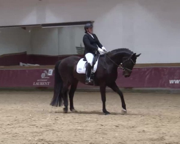 Reitturnier Eicherloh RH Laurent/Obb. 2023