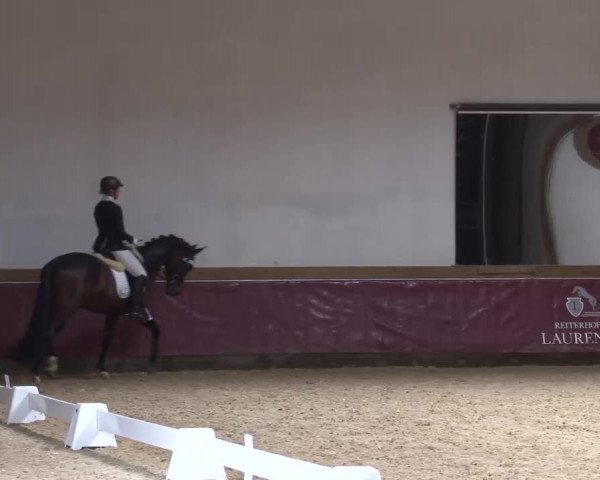 Reitturnier Eicherloh RH Laurent/Obb. 2023