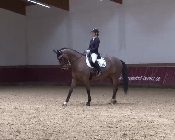 Reitturnier Eicherloh RH Laurent/Obb. 2023