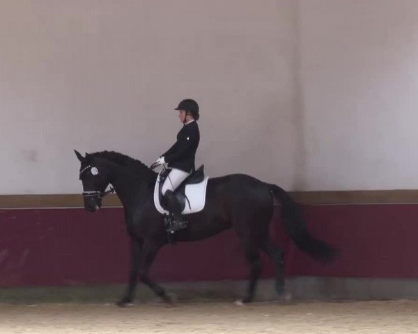 Reitturnier Eicherloh RH Laurent/Obb. 2023