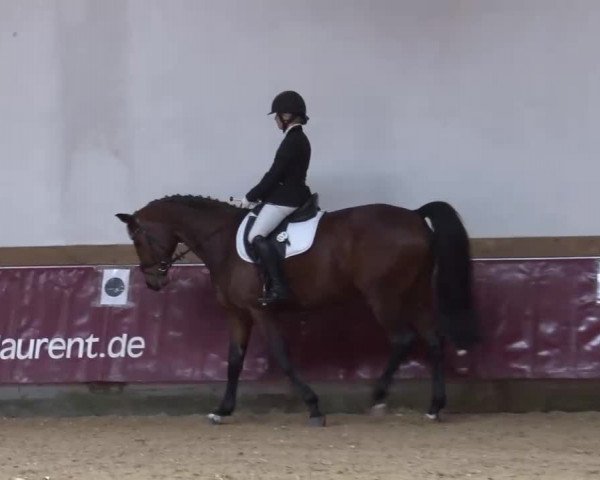 Reitturnier Eicherloh RH Laurent/Obb. 2023