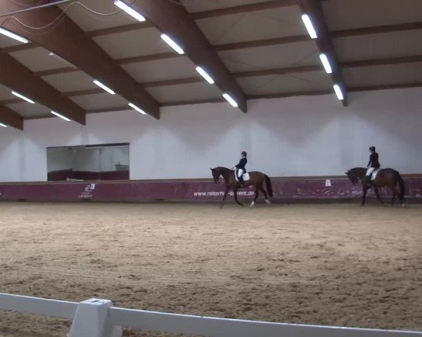 Reitturnier Eicherloh RH Laurent/Obb. 2023