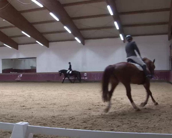 Reitturnier Eicherloh RH Laurent/Obb. 2023