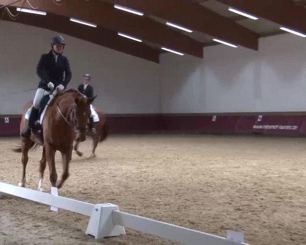 Reitturnier Eicherloh RH Laurent/Obb. 2023