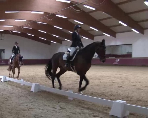 Reitturnier Eicherloh RH Laurent/Obb. 2023
