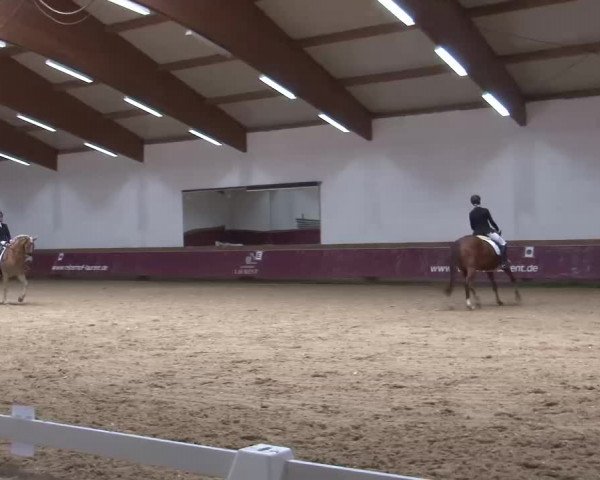 Reitturnier Eicherloh RH Laurent/Obb. 2023