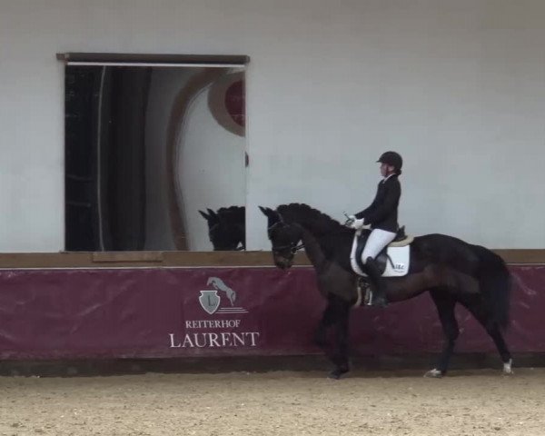 Reitturnier Eicherloh RH Laurent/Obb. 2023