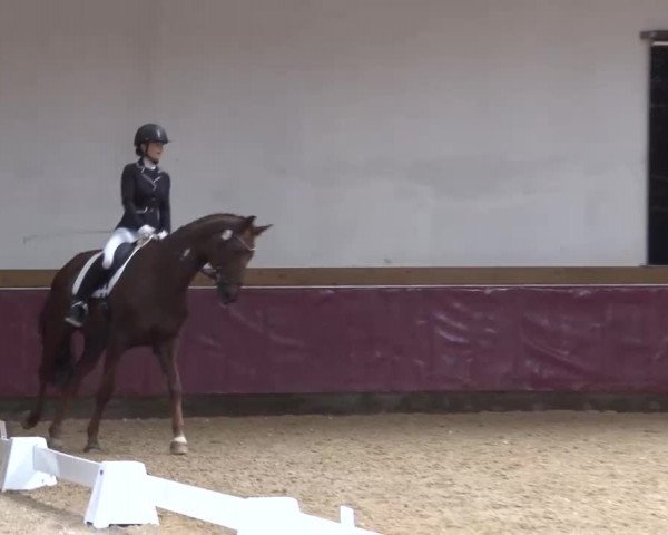 Reitturnier Eicherloh RH Laurent/Obb. 2023