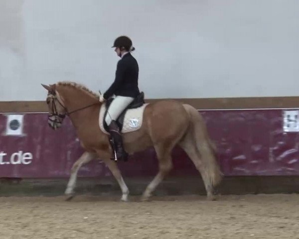 Reitturnier Eicherloh RH Laurent/Obb. 2023