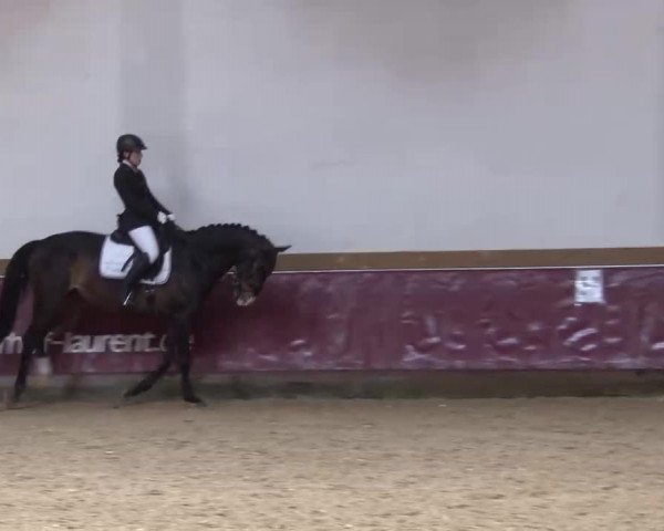 Reitturnier Eicherloh RH Laurent/Obb. 2023