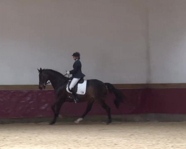 Reitturnier Eicherloh RH Laurent/Obb. 2023