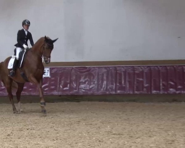 Reitturnier Eicherloh RH Laurent/Obb. 2023