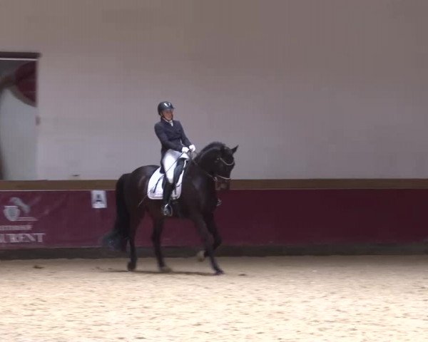 Reitturnier Eicherloh RH Laurent/Obb. 2023
