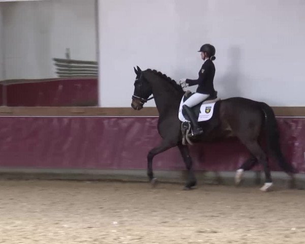 Reitturnier Eicherloh RH Laurent/Obb. 2023