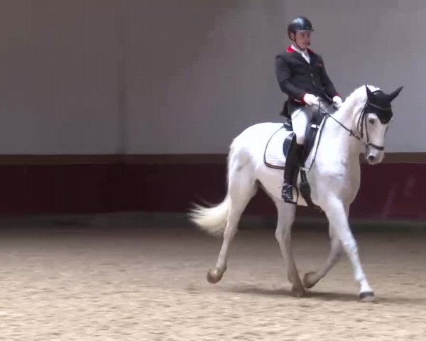 Reitturnier Eicherloh RH Laurent/Obb. 2023