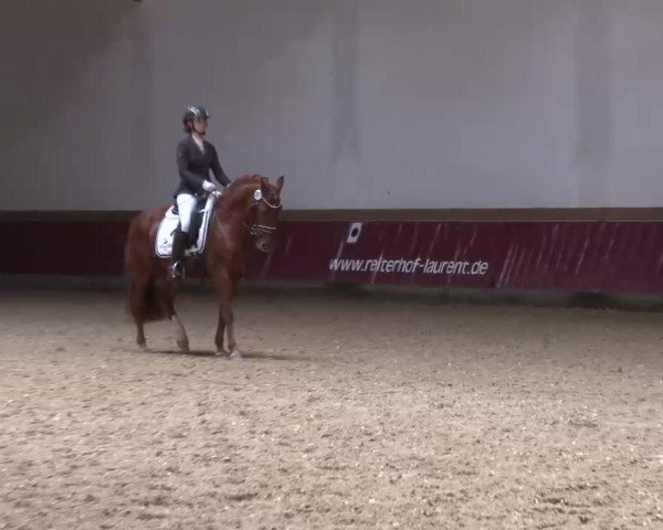 Reitturnier Eicherloh RH Laurent/Obb. 2023