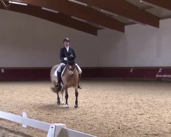 Reitturnier Eicherloh RH Laurent/Obb. 2023