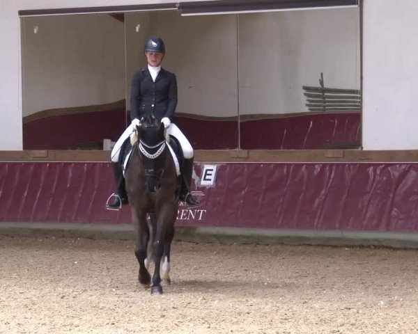 Reitturnier Eicherloh RH Laurent/Obb. 2023