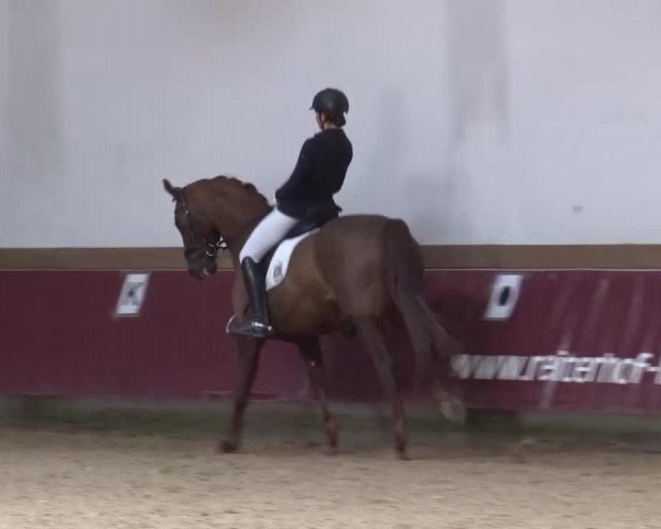 Reitturnier Eicherloh RH Laurent/Obb. 2023