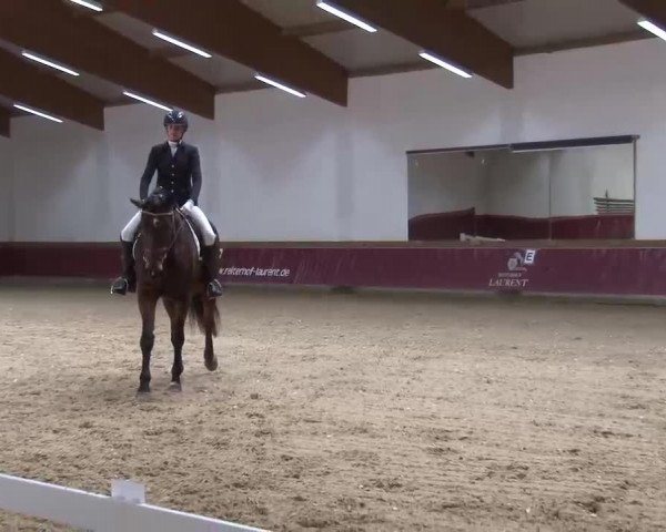 Reitturnier Eicherloh RH Laurent/Obb. 2023