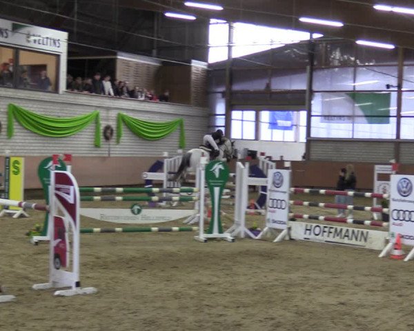 Reitturnier Hellefeld 2023