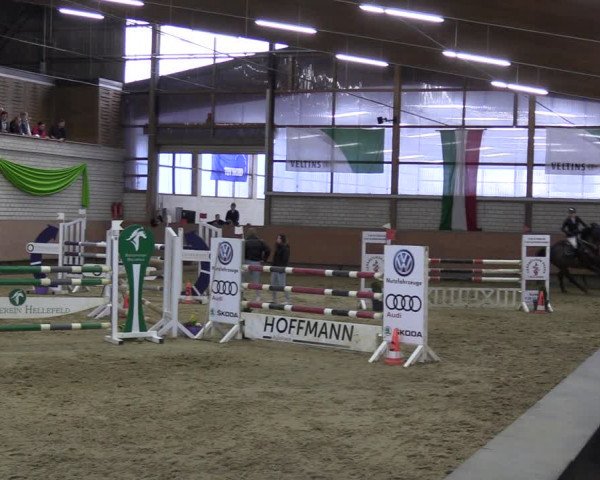 Reitturnier Hellefeld 2023