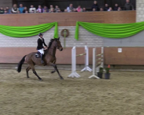 Reitturnier Hellefeld 2023