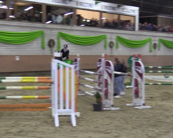 Reitturnier Hellefeld 2023
