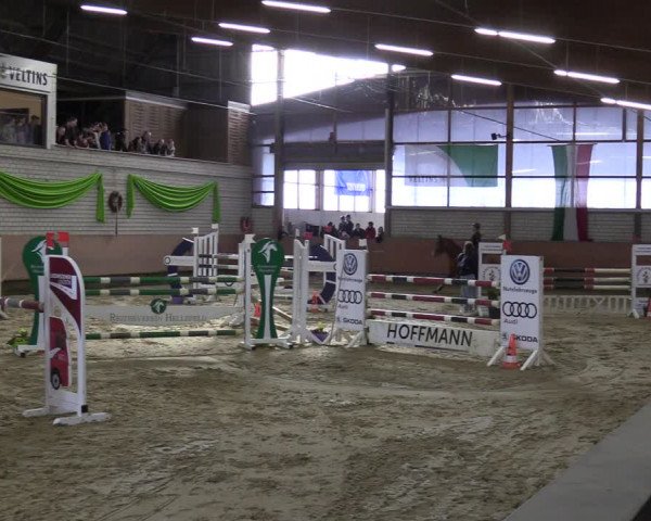 Reitturnier Hellefeld 2023