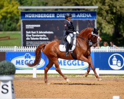 broodmare Dalina (Hanoverian, 2004, from Don Bosco)