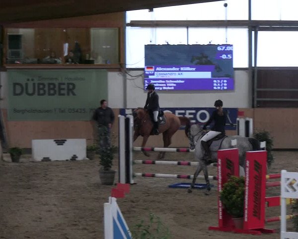 Reitturnier Borgholzhausen-Westbarthausen 2023