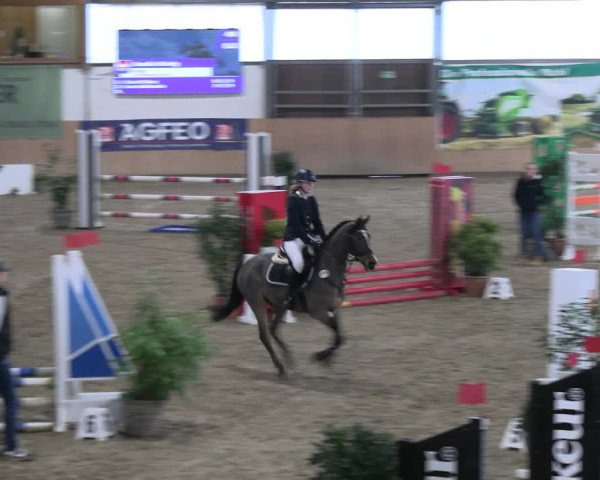 Reitturnier Borgholzhausen-Westbarthausen 2023