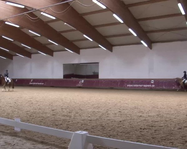Reitturnier Eicherloh RH Laurent/Obb. 2023