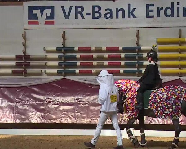 Reitturnier Eicherloh RH Laurent/Obb. 2023