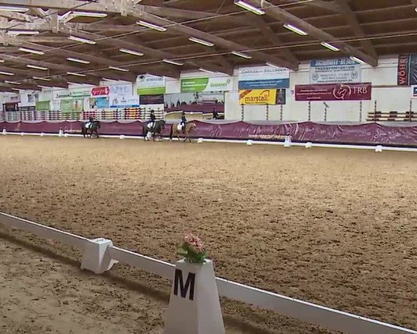 Reitturnier Eicherloh RH Laurent/Obb. 2023