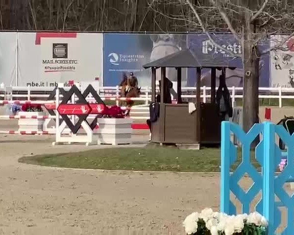 FEI Reitturnier Gorla Minore (ITA) 2023