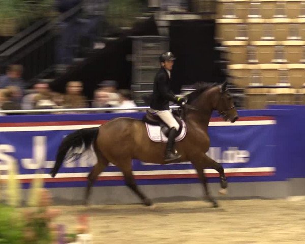 FEI Reitturnier Neumünster (GER) 2021