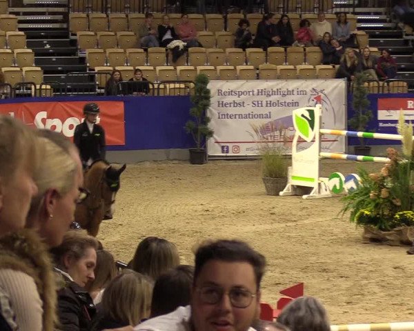 FEI Reitturnier Neumünster (GER) 2021