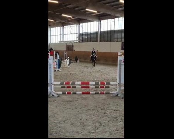 Video of Beenie Baby