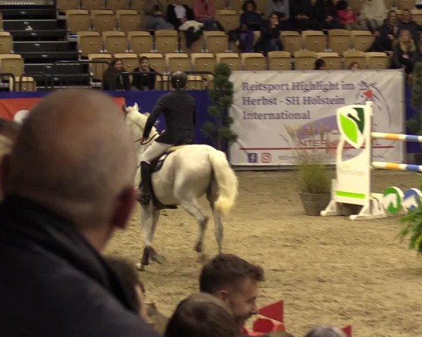 FEI Reitturnier Neumünster (GER) 2021