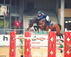 jumper Lolita VA (Holsteiner, 2010, from Larimar)