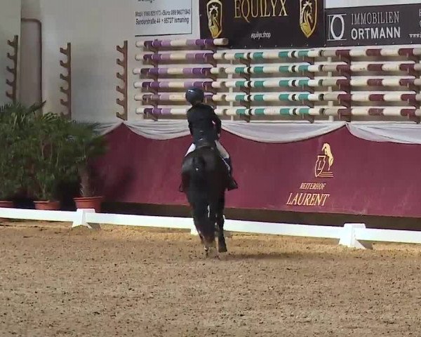Reitturnier Eicherloh RH Laurent/Obb. 2023