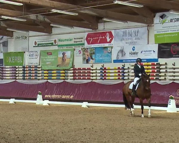 Reitturnier Eicherloh RH Laurent/Obb. 2023