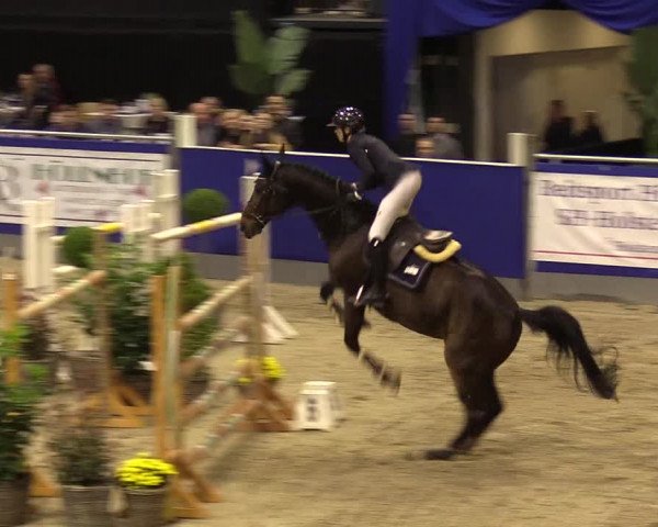 FEI Reitturnier Neumünster (GER) 2021