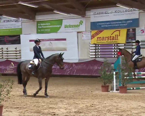 Reitturnier Eicherloh RH Laurent/Obb. 2023