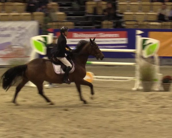 FEI Reitturnier Neumünster (GER) 2021