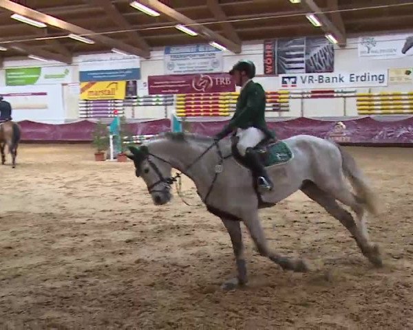 Reitturnier Eicherloh RH Laurent/Obb. 2023