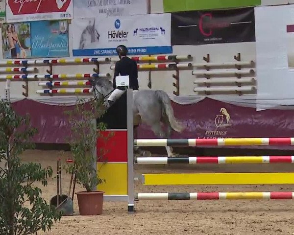 Reitturnier Eicherloh RH Laurent/Obb. 2023