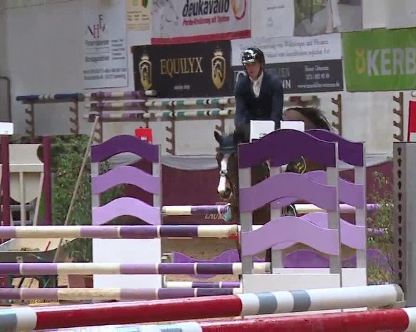 Reitturnier Eicherloh RH Laurent/Obb. 2023