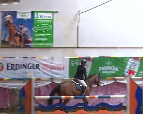 Reitturnier Eicherloh RH Laurent/Obb. 2023